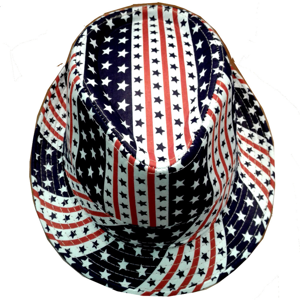 Patriotic Fedora